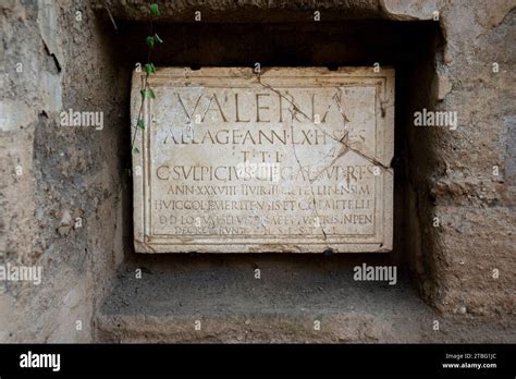 Fragment der Grabstele für Quintus Aemilius Laetus: Ein Fragment voller Geschichten und Stille